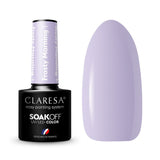 Claresa Esmalte Semipermanente Frosty Morning 1 5g